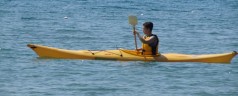 Kayak da mare a Lacona, Isola d’Elba