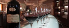 Visita a Montefalco in Umbria, tra chiese e Sagrantino
