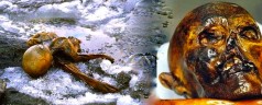 Ötzi la mummia a Bolzano al Museo Archeologico