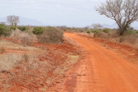 safari in kenya