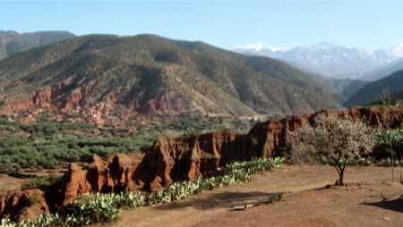 Terres d'Amanar