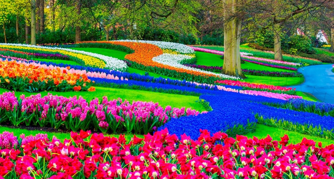 keukenhof