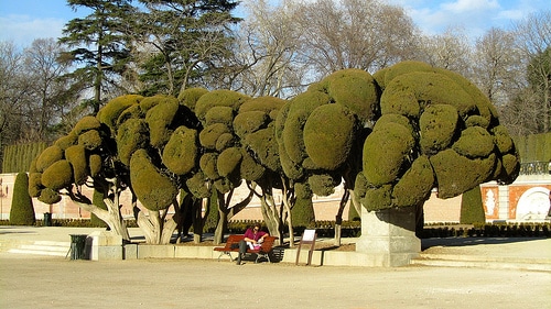 parque buon retiro madrid