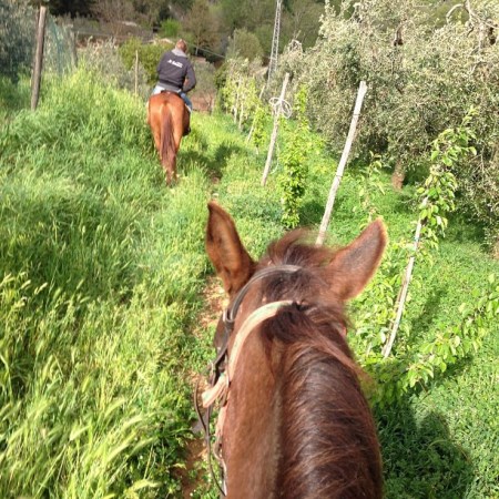 dove andare a cavallo in Toscana