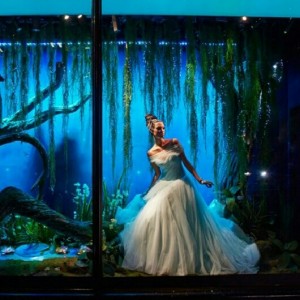 La principessa e il ranocchio principesse disney harrods