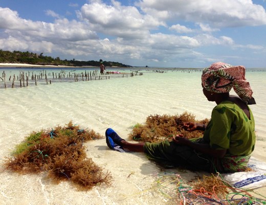 zanzibar