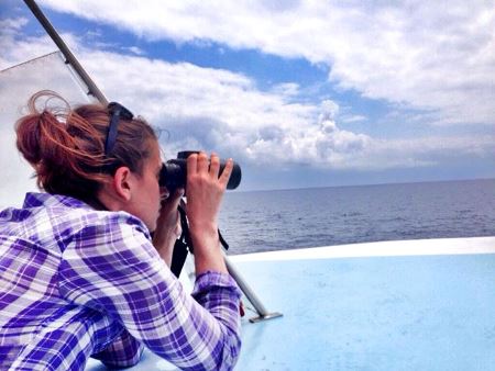 Whale Watching in Italia