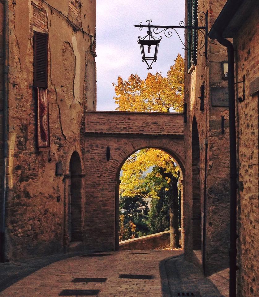 montone umbria