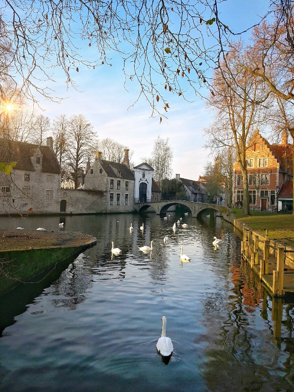 minnewater bruges