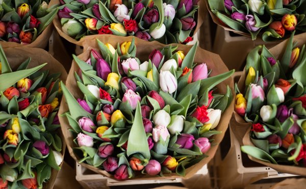 mercato dei fiori Amsterdam