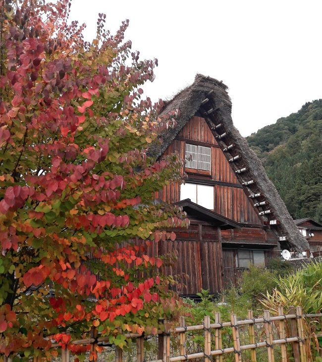 cosa vedere a shirakawago