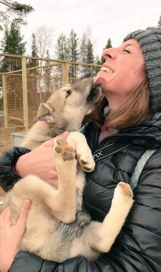 Husky Farm Inari Finlandia