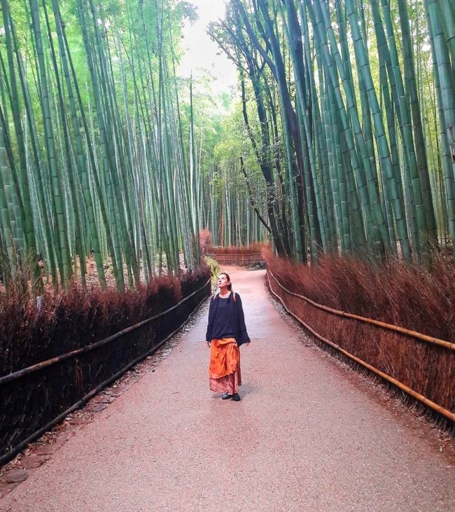 Arashiyama foresta bambù