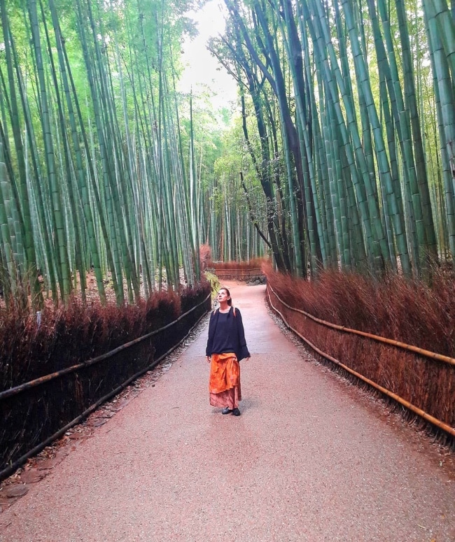 Arashiyama foresta bambù