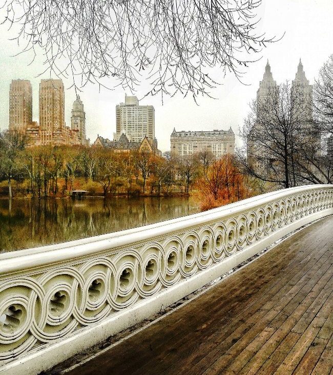 bow bridge central park new york