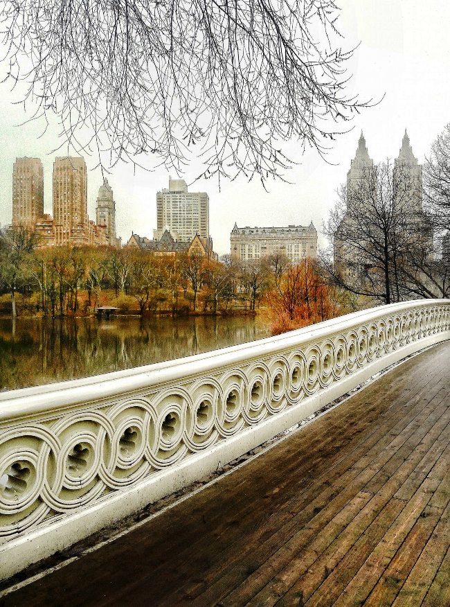 Bow Bridge Central Park new york