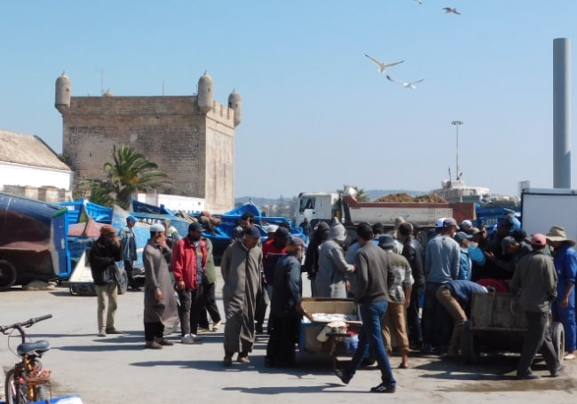 mercato ittico essaouira marocco