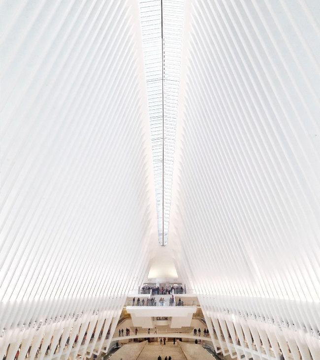 oculus new york