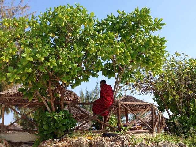 zanzibar masai