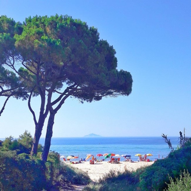 spiaggia seccheto isola elba