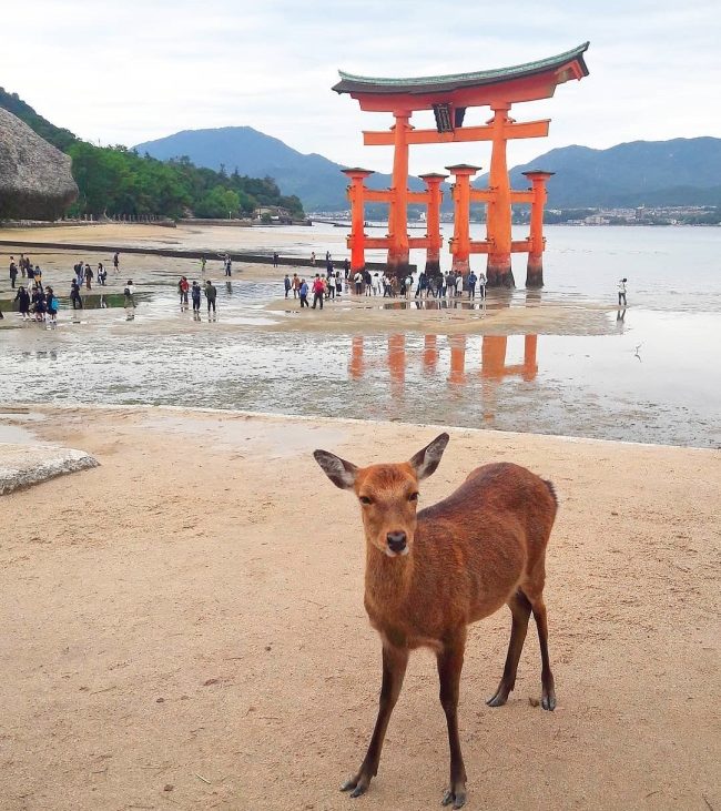 Miyajima