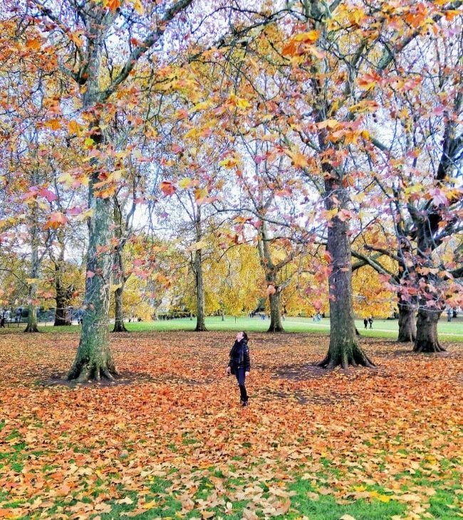 green park londra foliage