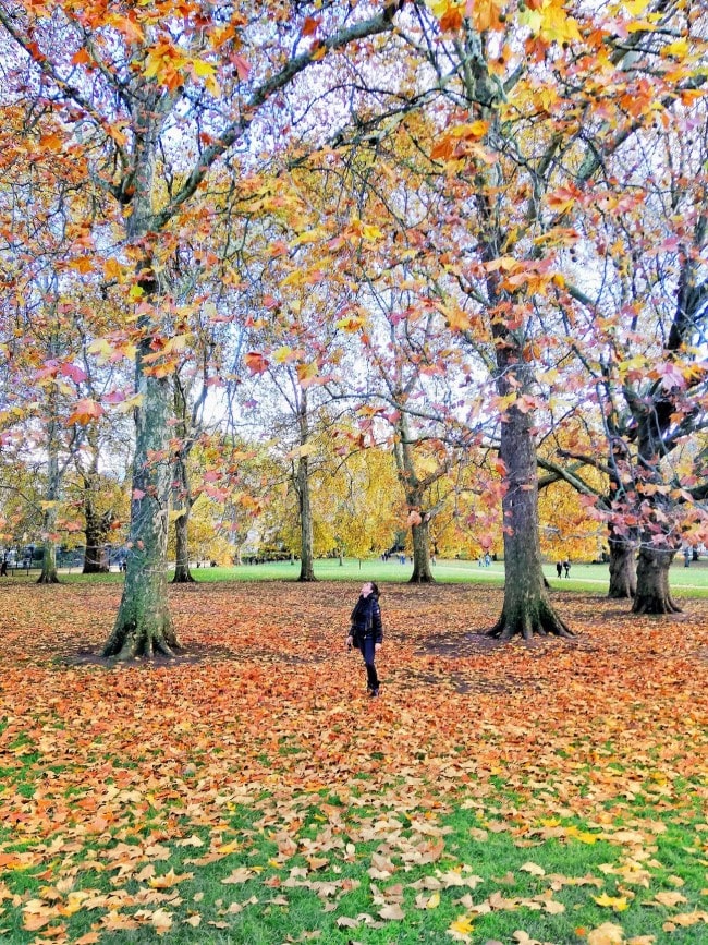 green park londra foliage