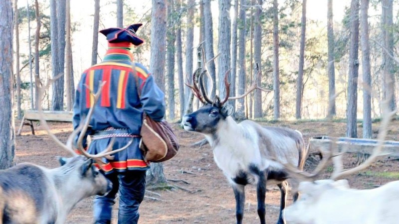 fattoria delle renne Inari Finlandia