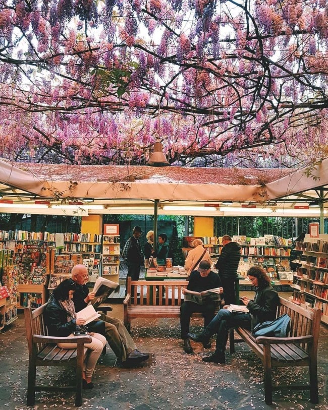 libreria feltrinelli Pisa