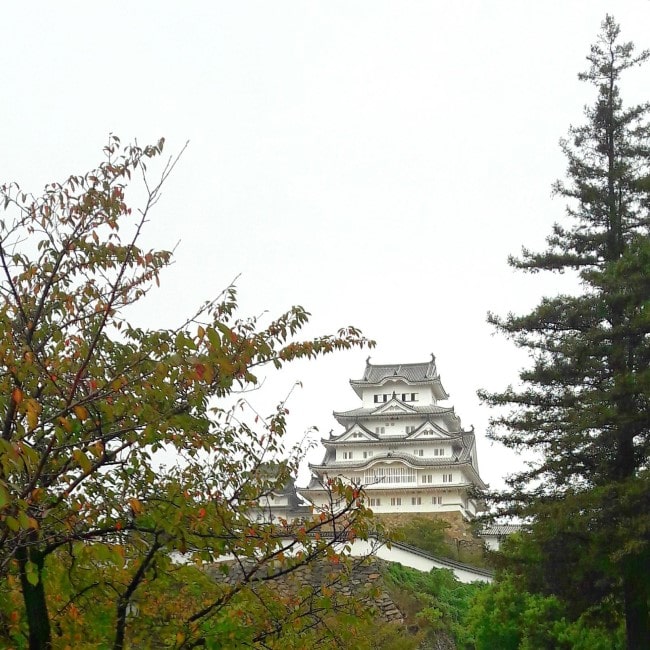 himeji in Giappone uno dei castelli più belli del mondo