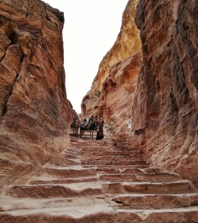 petra monastero