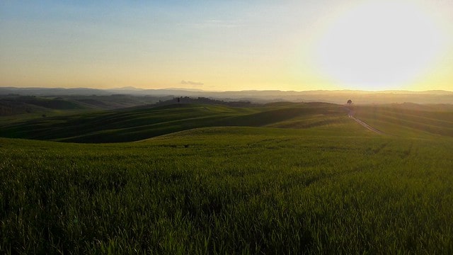 crete senesi