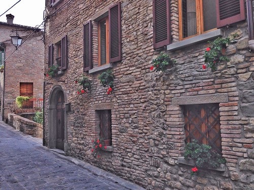 montone