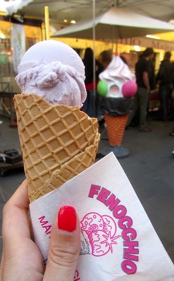 nizza gelateria fenocchio