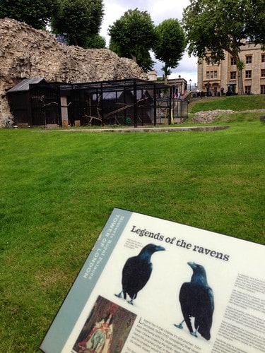 corvi tower of london