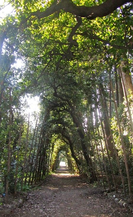 giardino boboli