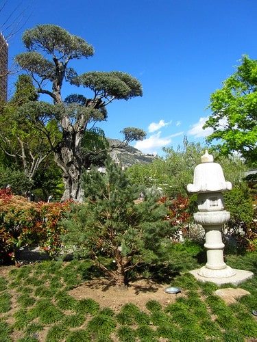 giardino giapponese monte carlo monaco
