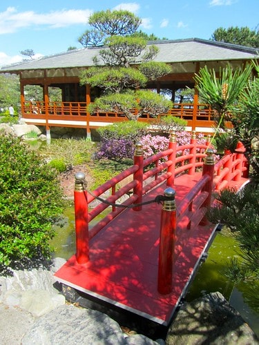 giardino giapponese montecarlo