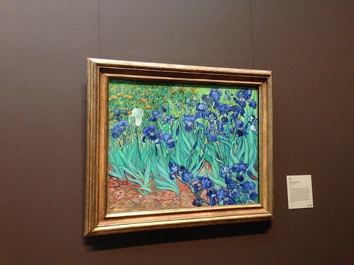 iris van gogh