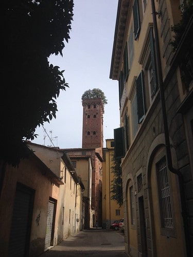 lucca