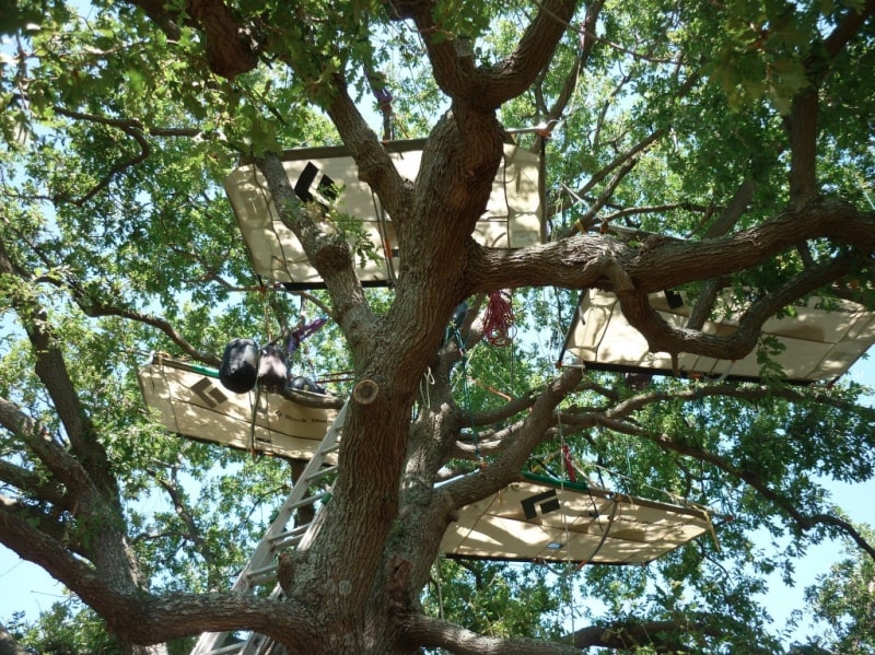 Tree Sleeping Toscana