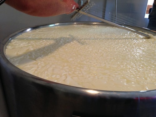 preparazione del formaggio
