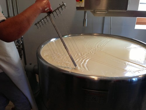 preparazione del formaggio