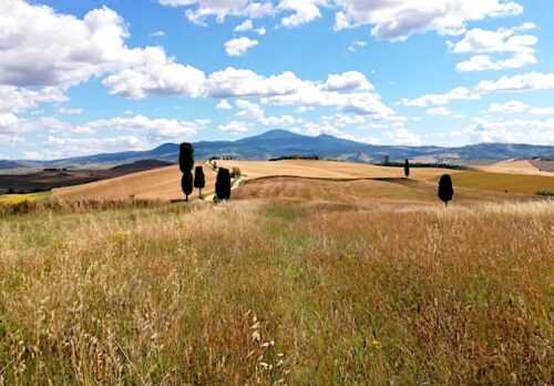 I cipressi più famosi della Toscana: la mia TOP 10