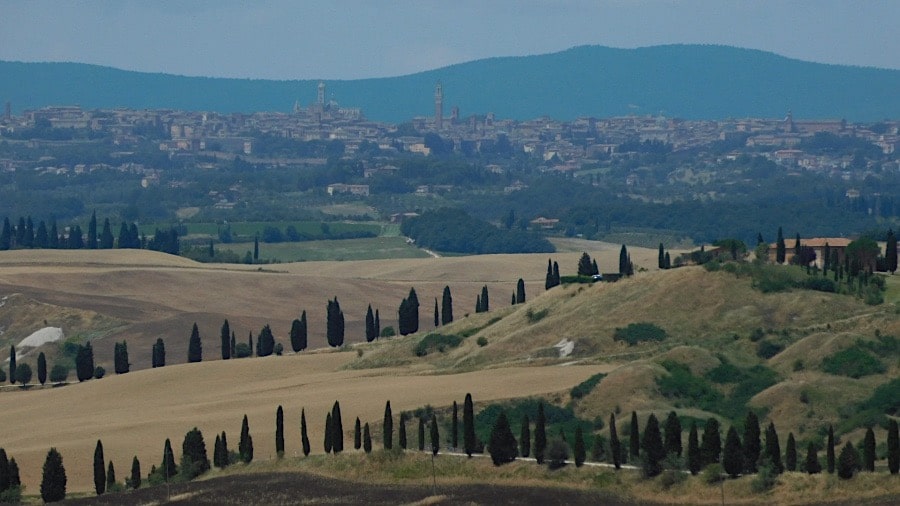 viale alberato leonina