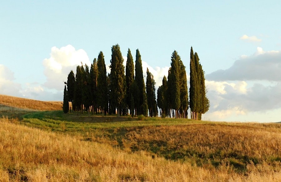 val d'orcia