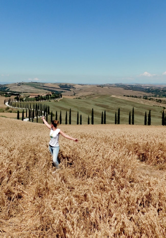 viali alberati toscana