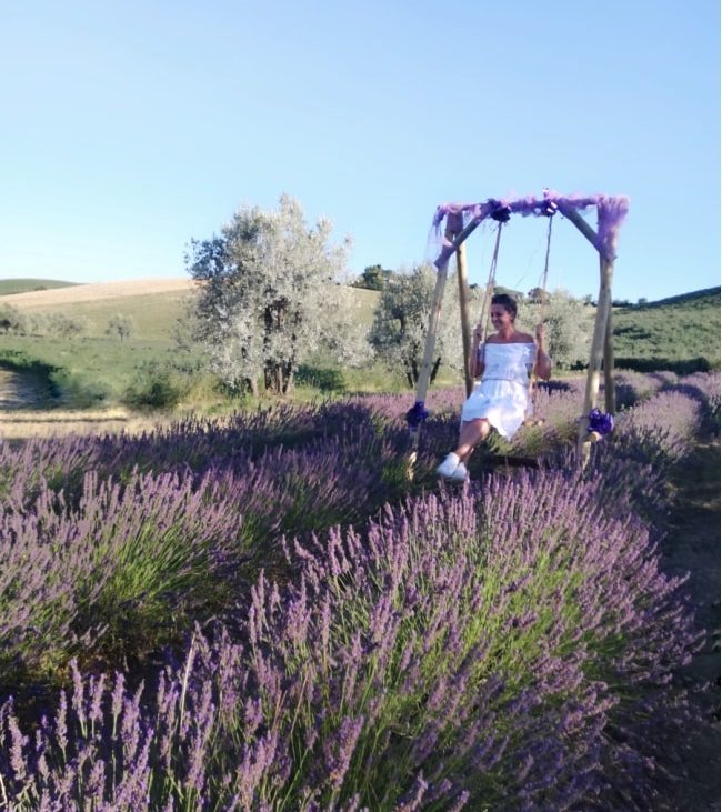 Campi di lavanda in Toscana