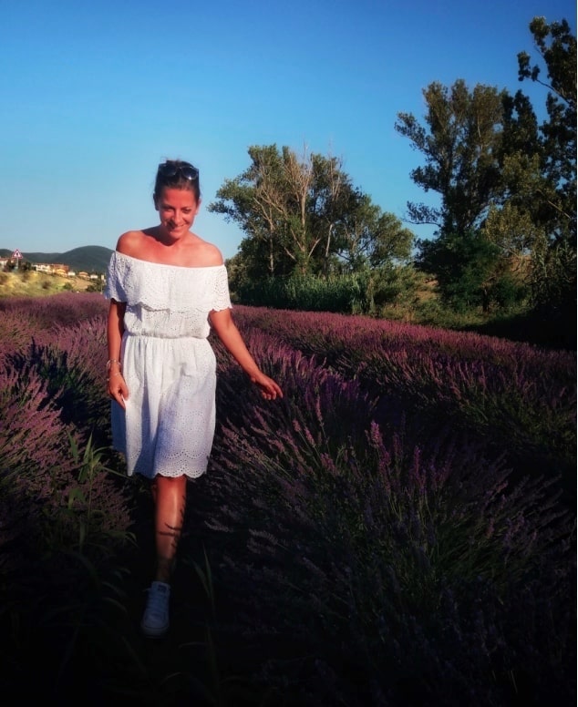 campi di lavanda