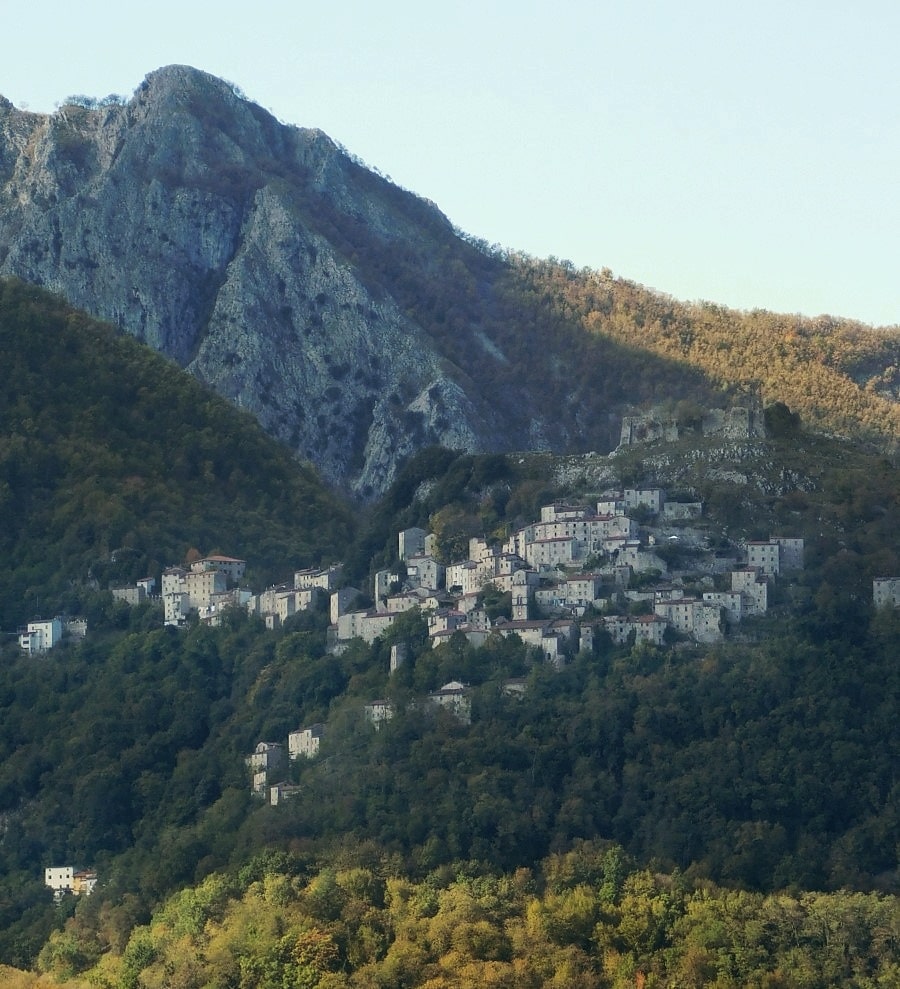 lucchio